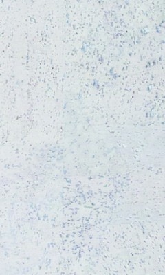 Korková plovoucí podlaha BALTICO WHITE